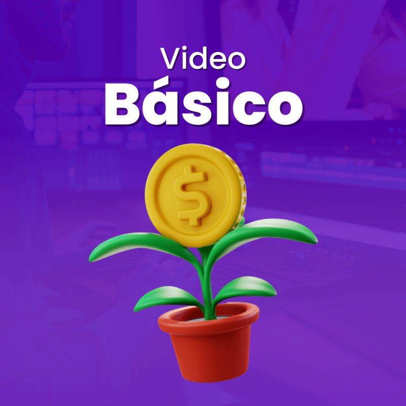 Video Básico